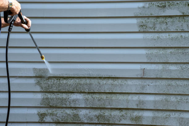 Best Furniture Removal  in Boalsburg, PA